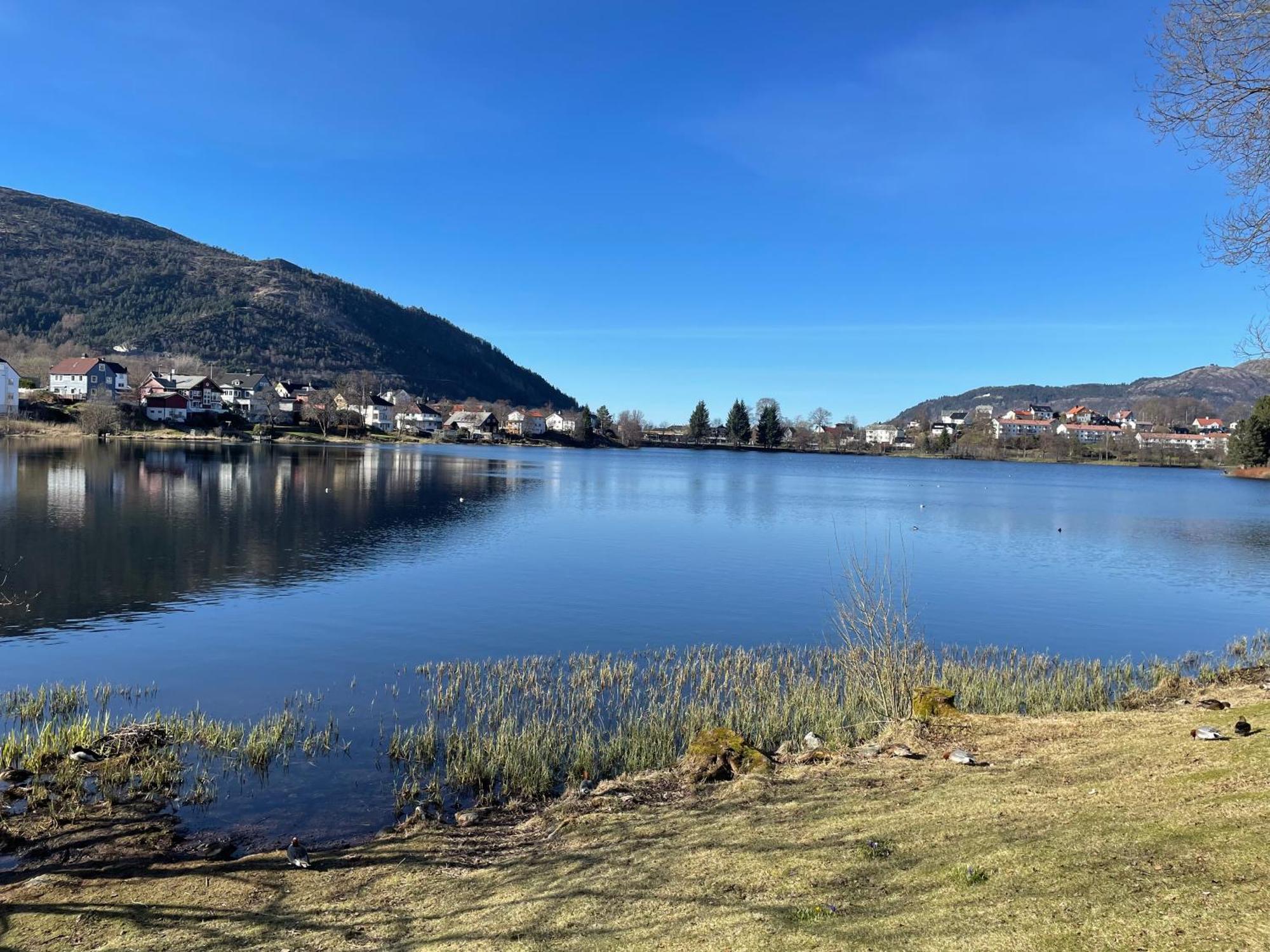 3 Sleeping Rooms For 82M2 Which Direct Traffic To Airport And City Center Bergen Bagian luar foto