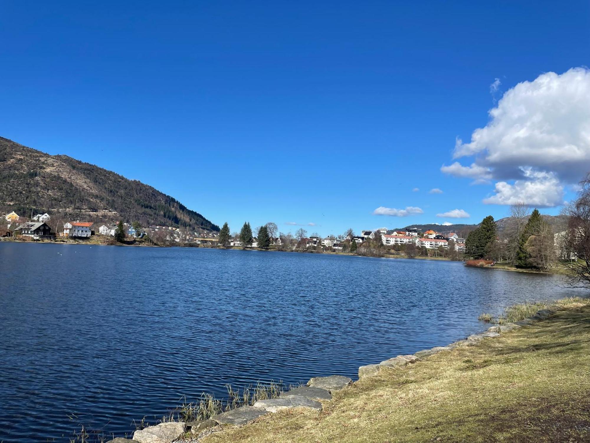 3 Sleeping Rooms For 82M2 Which Direct Traffic To Airport And City Center Bergen Bagian luar foto