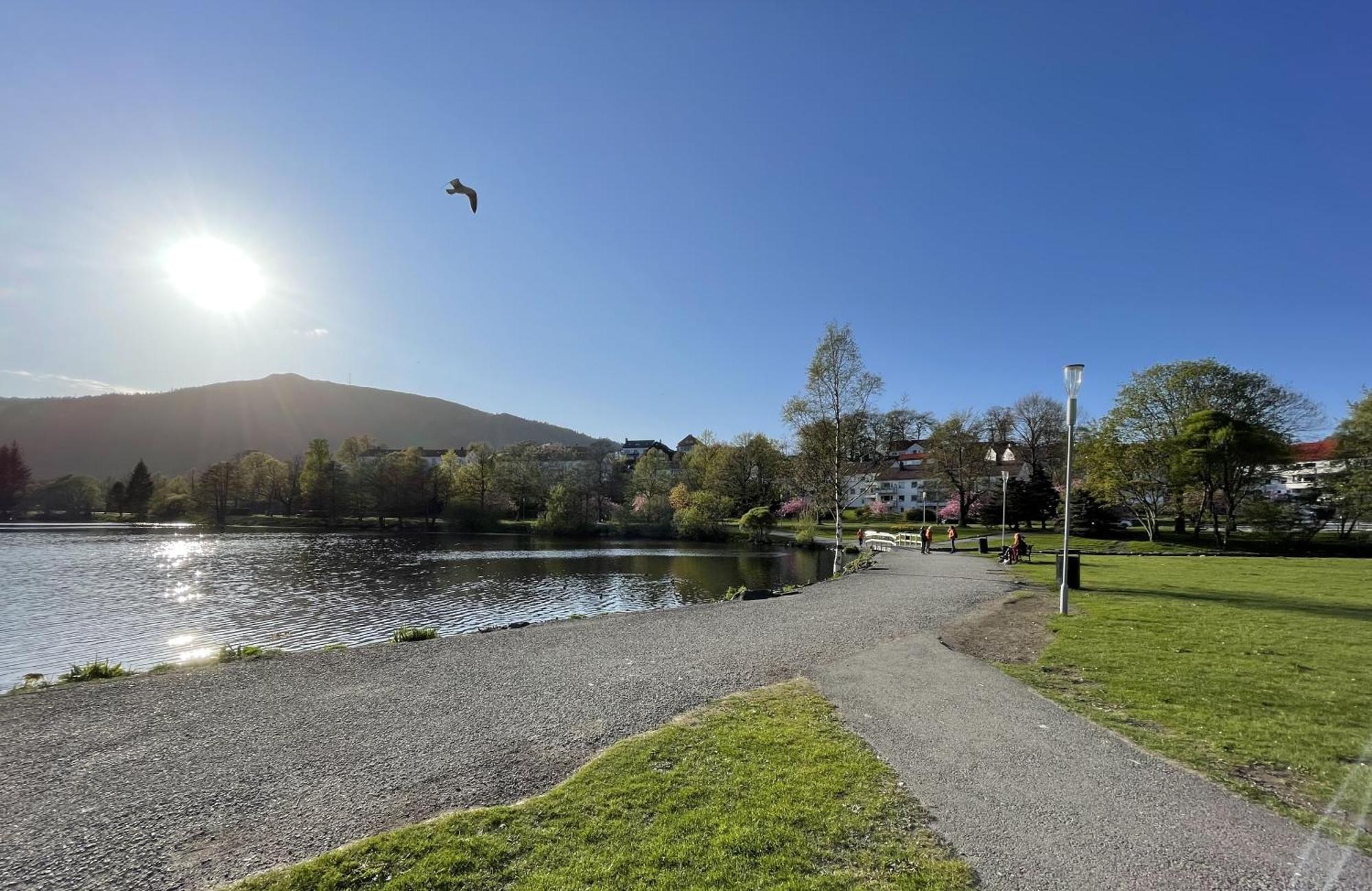 3 Sleeping Rooms For 82M2 Which Direct Traffic To Airport And City Center Bergen Bagian luar foto
