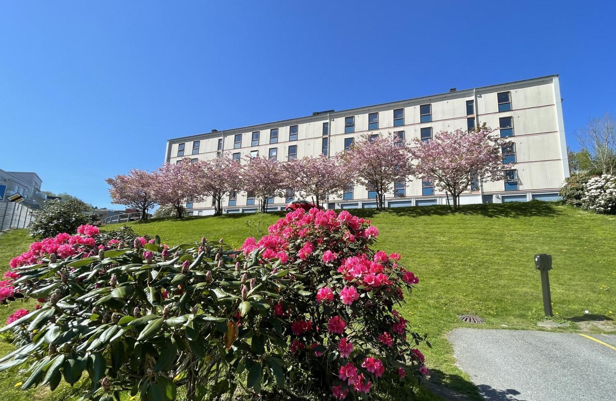 3 Sleeping Rooms For 82M2 Which Direct Traffic To Airport And City Center Bergen Bagian luar foto